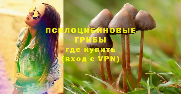 скорость Абаза