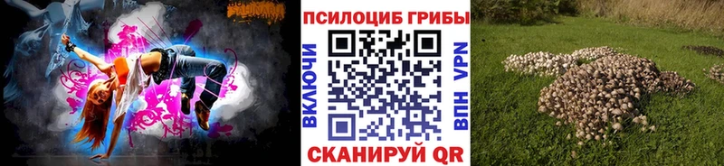Псилоцибиновые грибы прущие грибы  Пудож 
