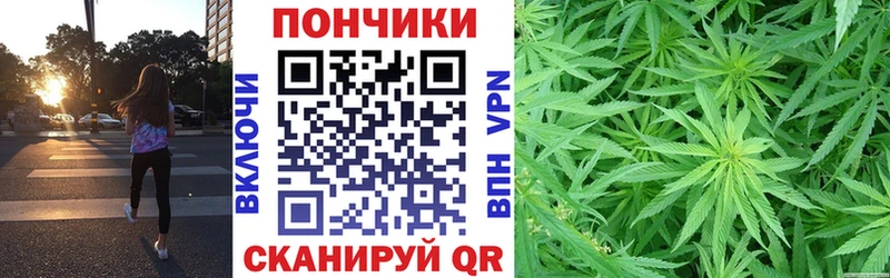 Каннабис Amnesia  где найти наркотики  Пудож 